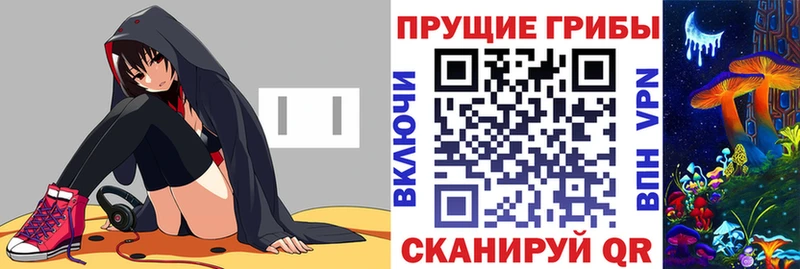 купить  цена  Кондопога  Галлюциногенные грибы мицелий 